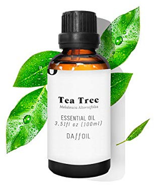 Daffoil Aceite esencial árbol del té puro, BIO natural ecológico aromaterapia humidificador - 100 ml