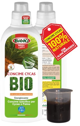 Antika Officina Botanika Abono CYCAS de alta eficacia para plantas de Cycas con algas pardas, bote de 1 kg