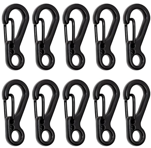 10 Pcs 2.5 cm Tiny Carabiner Clip, Mini Keyring Clips, Small Hanging Buckle for Keys, Fishing, Camping, Outdoor, Backpack Bottle Hooks,Climbing
