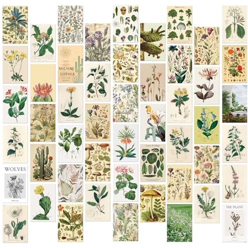 50 cartoline botaniche vintage, cartoline con poster floreali, decorazione artistica da parete, set di cartoline, biglietti di auguri retrò, carta per scrapbooking per fai da te, decorazioni per la