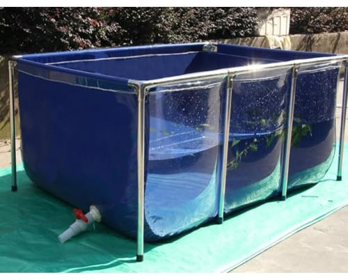 Genérico Piscina de Lona translúcida para Peces, Acuario Elevado de Lona, Piscina Infantil con Soporte de Acero Inoxidable, fácil instalación, Azul y Transparente, 150 x 100 cm