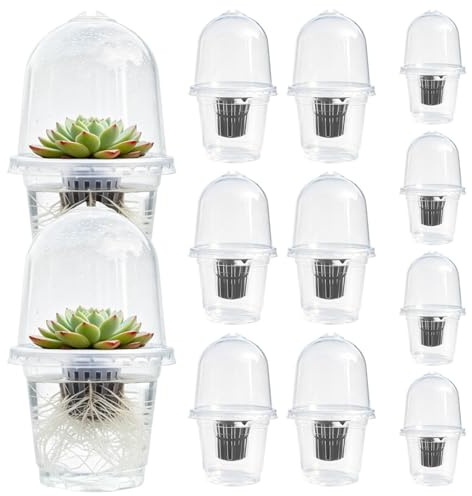 Generico Vasetti Idroponici da Semina con Cupola,12 Pezzi per Piantare Fiori - Bicchieri di Piantine,per Proprietari Coltivatori Davanzale Balcone Ufficio Soggiorno Camera Verdure Frutta