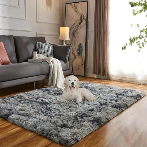 Evitany Teppich Wohnzimmer, Anti Rutsch Waschbare Flauschiger Teppich, Ultra Soft Hochflor Teppiche,Zottelig Wohnzimmerteppich für Schlafzimmer,Lounge