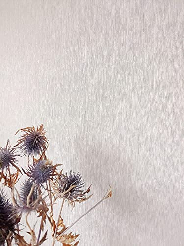 Newroom Tapete Beige Vliestapete Einfarbig - Unitapete Uni Creme Streifen Struktur Modern Streifentapete inkl. Tapezier-Ratgeber