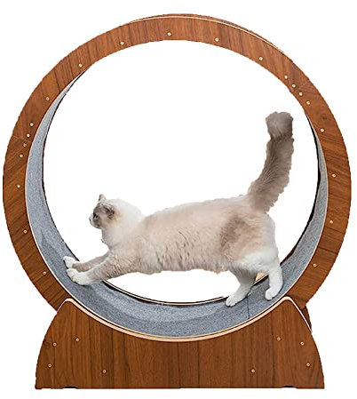 Hundelaufband Laufrad für Katzen, Laufband für Katzen, Gerät zum Abnehmen, leises Laufrad für Haustiermöbel, perfekt zum Abnehmen oder für energische Katzen