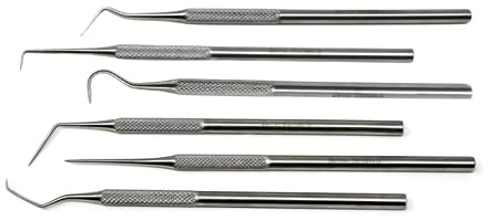 Rascador profesional de sarro dental para eliminar el cálculo de los dientes, removedor de placa, raspador de dientes para el cuidado de la higiene bucal, hecho de acero inoxidable (juego de 6 piezas)