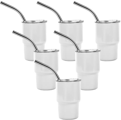 RANJOVER 6PCS Mini 3oz Tumbler Shot Glass with Straw and Lids, Sublimation Double Layer Shot Glasses Set for Drinks, Coffee