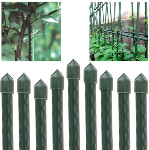 Suinga Pack 10 Tutor de Acero Plastificado 180cm Ø16 mm | Varillas para Plantas y Arboles | Tutores para Tomates y Plantas trepadoras | Soporte para Plantas, Verde