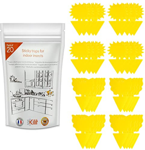 Lot de 20 Pièges À Moucherons Autocollants pour Anti Moucherons Intérieur Efficace, Piège Moucherons Intérieur, Capte Les Insectes Volants pour Maison Et Bureau - Kaligen