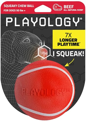 Playology Squeaky Chew Ball Dog Toy - Jumbo, Beef Scent