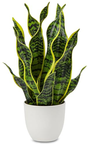 Hollyone Artificial Snake Plant Potted Faux Sansevieria Trifasciata Plants, 16.5 Tropical Fake Snake Plants in White Pots for Home Office Room Indoor Decor Housewarming Gifts