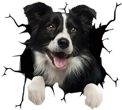 Autoaufkleber Border Collie Hund 14cm Vinyl Sticker 3D Riss-Effekt wasserdicht kratzfest 2er Pack für Auto SUV Motorrad Laptop Helm Wand Tür Fahrzeugaufkleber dekorativ Stoßstangenaufkleber