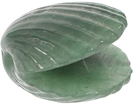 Yardwe Decoration Für Fischbecken Natürliche Muschel Ornamente Für Strand-Themen Deko Und DIY Handwerksprojekte Langlebig Und Vielseitig Einsetzbar
