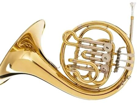 waldhorn instrument Messing Musikinstrument Waldhorn Gelbmessing Material Edelstahl Kolben