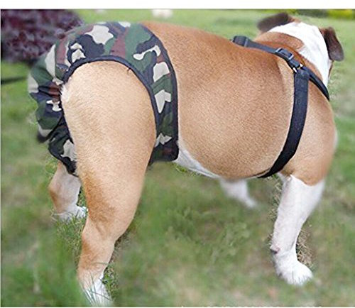 LOVIVER Hundeschutzhose Für Rüde Hunde Hündinnen, Waschbar Und Verstellbar - Camouflage, L