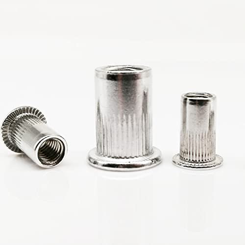 10/20 Stück Aluminium Flachkopf Metrisches Gewinde Blindnietmutter Einsatz für M3 M4 M5 M6 M8 Bolzenschraube C-10 Stück M10