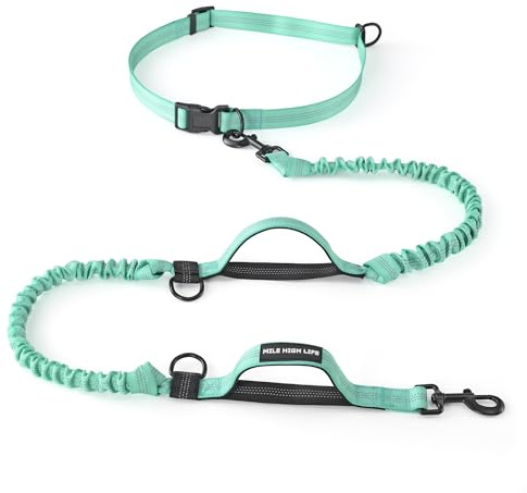 Mile High Life | Infällbart handsfree hundkoppel 7 fot | Midjelöpning justerbart | Reflekterande dubbla svarta bungees | dubbla handtag | små medelstora hundar | (blågrön)