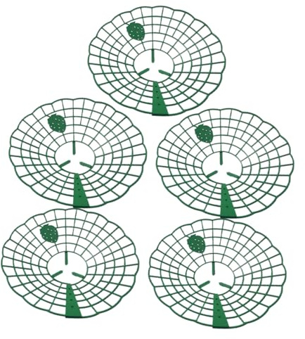 DOITOOL 5 pièces Support Fraisier Grimpant Plastique Robuste Cadre de Culture pour Jardinage Améliore Circulation Air et Récolte pour Fraisiers et Autres Plantes Grimpantes