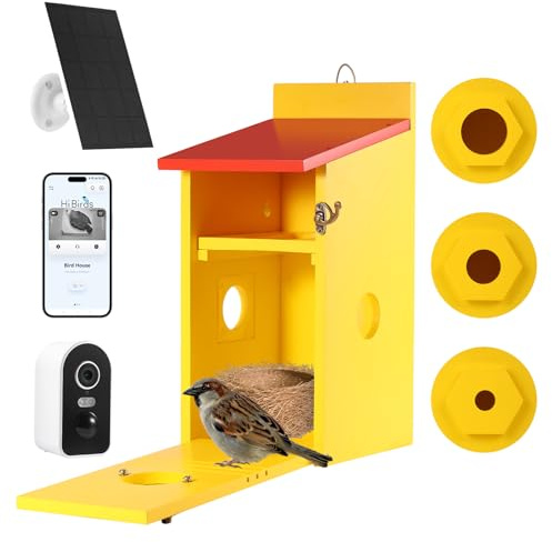Vogelhaus mit 5MP Kamera Solar WLAN, Bunte Nistkasten zum Aufhängen für Wetterfest, 2,4G WiFi & App Benachrichtigung, Video/Fotoaufnahme & Bewegungserkennung, Beobachten des Vogellebens, Nachtsicht