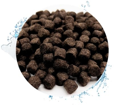 Warnick's Fischfutter Koifutter Winter sinkend 5 mm - 30 kg | Herbst- & Winterfutter für Koi & Zierfische - Sinkend & leicht verdaulich bei niedrigen Temperaturen