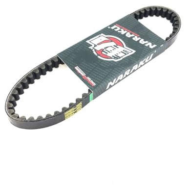 NARAKU KEILRIEMEN ANTRIEBSRIEMEN V-BELT in 669 x 18 x 30 für diverse GY6 CHINA ROLLER 4-TAKT 139QMA 139QMB GY6 MOTOR AGM GMX BENZHOU YIYING BAOTIAN ZNEN FOSTI NOVA BURNOUT REX RS ROLLER