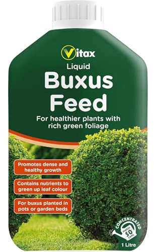 Vitax Buxus Feed Liquid 1L | Specialist Plant Food for Boxwood & Ilex Crenata | High Nitrogen & Magnesium for Glossy Dark Green Foliage | Fast Acting Disease Resistance Booster | Makes 50 Watering Can