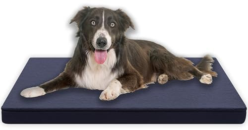 MyBestBuddy Hundekissen Premium orthopädisch mit 3 cm Vollschaum-Kern grau 70x50 cm M, Hundematte mit Stoffbezug, 40°C waschbar, allergikerfreundlich - Hundebett für kleine Hunde, 70 x 50 cm