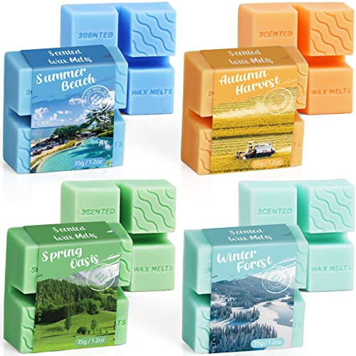 Duftwachswürfel Set, Duftwachs für Kerzen Wärmer, Wax Melts für Duftlampe, Vegan Wachsschmelzen, handgefertigte Sojawachsschmelzen, Geschenkset für Muttertag, Weihnachten, Geburtstag, 4 Stück