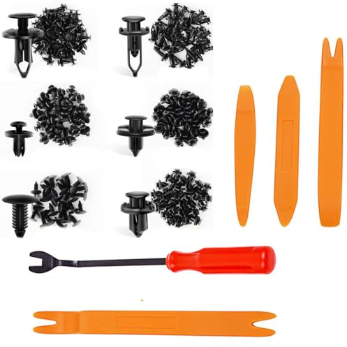 Armastuse 200 Pezzi Clip di Fissaggio per Auto 6 Diverse Tipologie di Clip per Rivestimenti Porta e Clip in Plastica per Paraurti Universali con Strumenti Rimozione Fissaggio