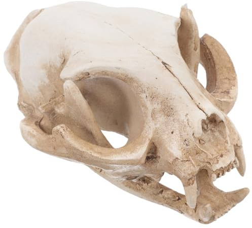 PartyKindom Aquarium Dekorativer Tierschädelkopf Cat Skeleton Real Tier Schädel Figur Animal Skeleton Real Höhlenlandschaft Haustier Reptilienhaus Animal Head Halloween Falscher Kopf