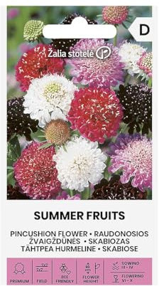 Zalia stotele | Scabiosa - Semi SUMMER FRUITS | Semi di fiori | Fiori annuali dal profumo piacevole | Semi di piante | Semi da giardino | 1 confezione