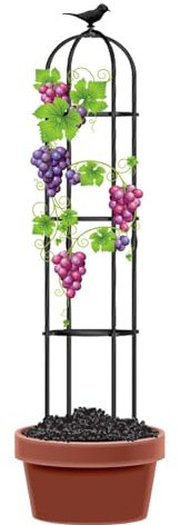 Obelisco per Rampicanti Garden Supporto Grigliato a Colonna 21x120cm 25x190cm 31x160cm 35x150cm Resistente Alle Intemperie Torre Traliccio da Giardino (Color : Black, Size : 25x120cm(9.8x47in))