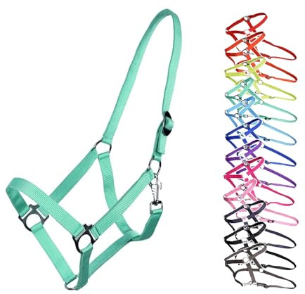 NETPROSHOP Halfter oder Führstrick Einfarbig für Ihre Lieblinge Mini Shetty bis XL Full, Groesse:Cob, Farbe:Tuerkis