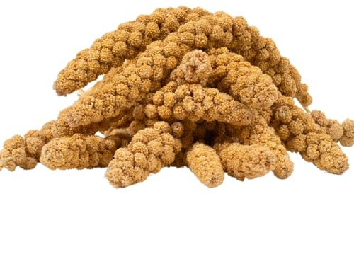 Lyra Pet® 3 kg Kolbenhirse gelb - Vogelfutter für Sittiche & Kanarienvögel | Handverlesene Hirse - Natürliche Nährstoffquelle für Vögel - Für das ganze Jahr - Hirsekolben für für Zier- und Wildvögel