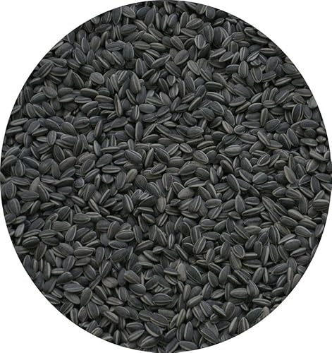Black Sunflower Seed Wild Garden Bird Seed High Fat Content 10kg 5kg 3kg 2kg 1kg 500g (5kg)