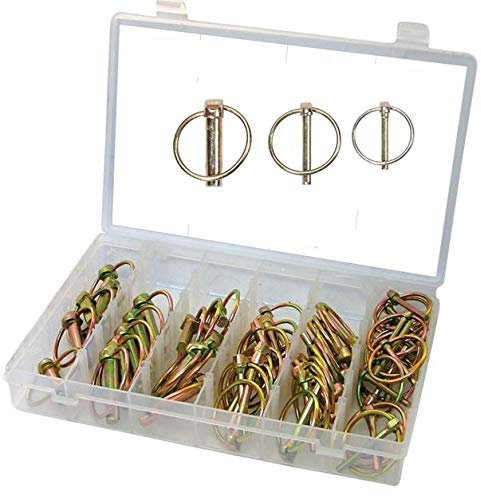 SET 50 SPINE A SCATTO ASSORTITE IN BOX/CONTENITORE PERNI COPPIGLIE ANELLI