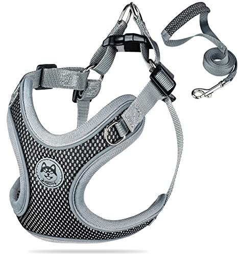 Coolzon Hundegeschirr Kleine Hunde Katzengeschirr Atmungsaktiv Brustgeschirr Einstellbar Anti Zug Geschirr Reflektierend Sicherheitsgeschirr Laufen Gehen Joggen Schwarz（S）