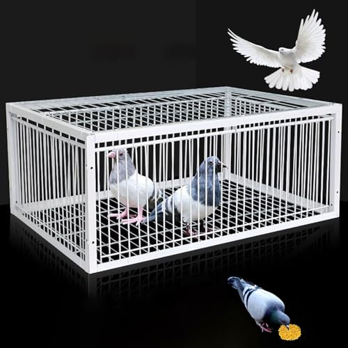 NOBBAT Jaula trampa para pájaros Trampa para pájaros Trampa para atrapar pájaros trampa grande para pájaros puerta para palomas mensajeras palomas suministros para cría y captura de pájaros(70x40x26cm