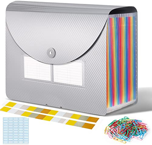 CHILLSILA Dokumentmapp A4 med lock, fackmapp, regnbågsmapp, dragspel, mapp med etiketter, organisationsmapp med 24 fack (silver)