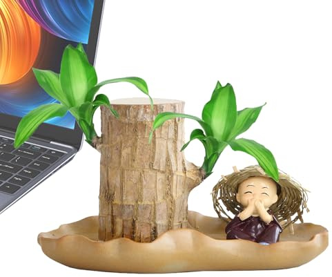 Brasilianische Holzpflanze mit Mönch, Hydrokultur-Topfpflanzenstumpf mit, Holzstumpf, Schreibtischdekoration, reinigende Raumluft-Desktop-Pflanzen, Stümpfe, Bonsai-Baum für den Innenanbau