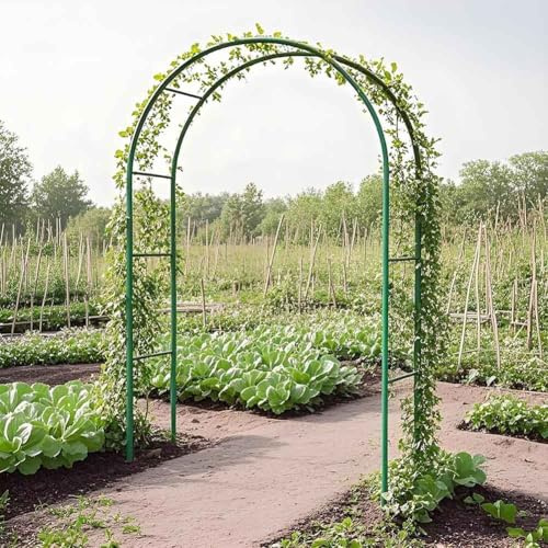 Arche de jardin en métal 120 cm x 350 cm de large, treillis facile à assembler, pour rosiers grimpants, pergola verte pour vignes, support robuste, décoration de jardin extérieur, 3,5 m x 2,2 m (l x H