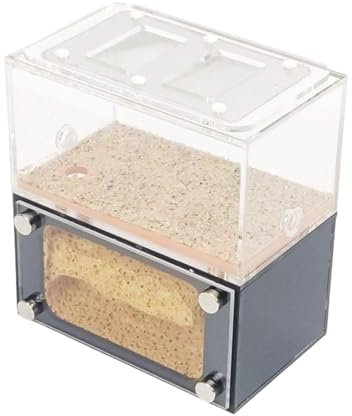 REEKOS Ameisenhaus Ameisenfarm Ameisenburg Ant Castle Mit Fütterungsbereich Acryl Ant Nest Farm Leicht Zu Beobachten Workshop Ant Terrarium Pädagogisches Ameisennest Ameisen Zucht Box