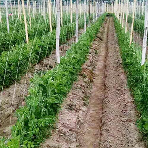 Großes Spaliernetz, Pflanzen-Kletterstütznetz für Erbsen, Gurken, Weinreben, Gartengemüse