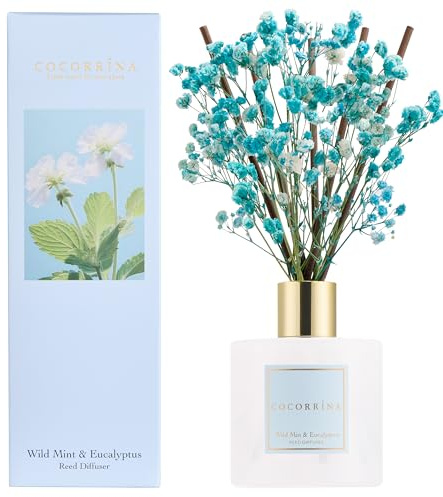 COCORRSTENNA Rumdoft Reed diffuser med 8 doftpinnar 200 ml, vild mint & eukalyptus, naturlig, långvarig, Home doft eterisk olja reed diffuser för badrum hylla dekoration
