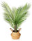 Kazeila Kunstpflanze Groß Areca Palme 80cm Künstliche Pflanzen im Topf Kunstpalme Fake Plastik Dekor(1Pack)