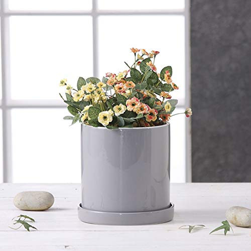 Vaso da fiori in ceramica Vaso in ceramica bonsai perforato cilindrico luminoso con vassoio Ornamenti da giardino per la casa Vasi da fiori Vasi da fiori in ceramica Contenitori decorativi per piante