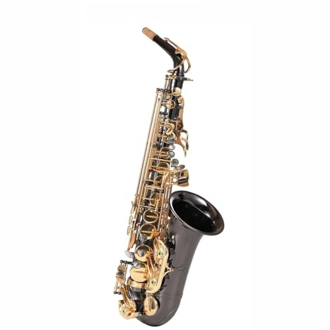 Saxophon Altsaxophon professionell für Anfänger Es Schwarznickel goldene Tasten