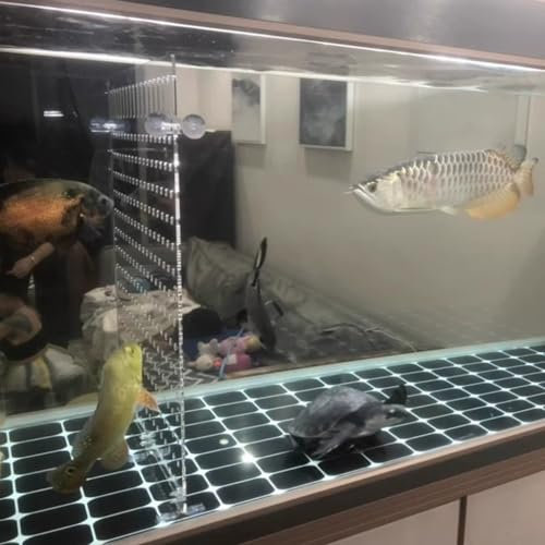 Aquarium Trennwand, Acryl-Aquarium-Teiler, transparentes Set für alle Arten von Aquarien, kann zugeschnitten und individuell angepasst Werden