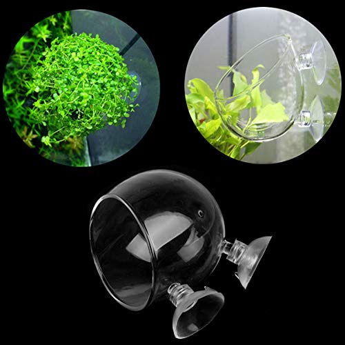 DGZZI Crystal Glass Aquatic Plant Pot Aquarium Aquatic Planter Holder with 3PCS Suction Cups for Fish Tank Aquarium Decoration