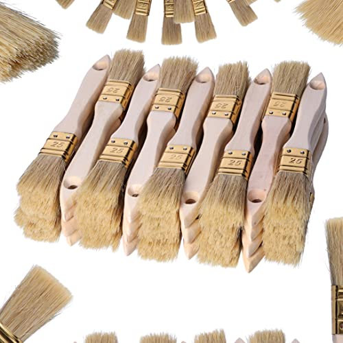 ToolSpace Pinselset Borstenpinsel 36er Set 25 mm Flachpinsel Naturborsten Einwegpinsel oder Universal Pinsel Lackierpinsel Lackpinsel für Lacke Holz Möbel Malerpinsel Wandpinsel Streichpinsel DIY